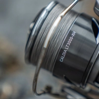 Daiwa 25 Caldia LT Reel